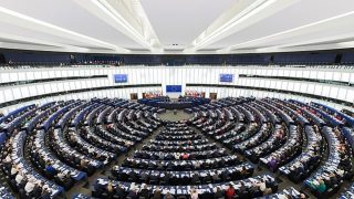 新疆におけるウイグル族とカザフ族のイスラム教徒の大量恣意的拘束に関して、欧州議会にて2018年10月8日に下された議決（英語版）