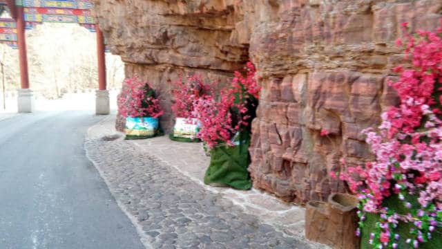 緑色の布で包まれ、造花で飾られた七歩溝風景区の五百羅漢像。